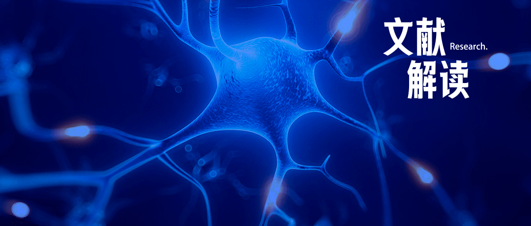 研究前沿｜神經(jīng)分子生物學(xué)：持續(xù)轉(zhuǎn)錄程序如何影響遠(yuǎn)程記憶