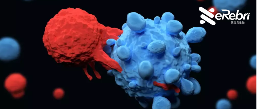 年終大盤點！醫(yī)學2022年十大最具影響力的科研事件來啦