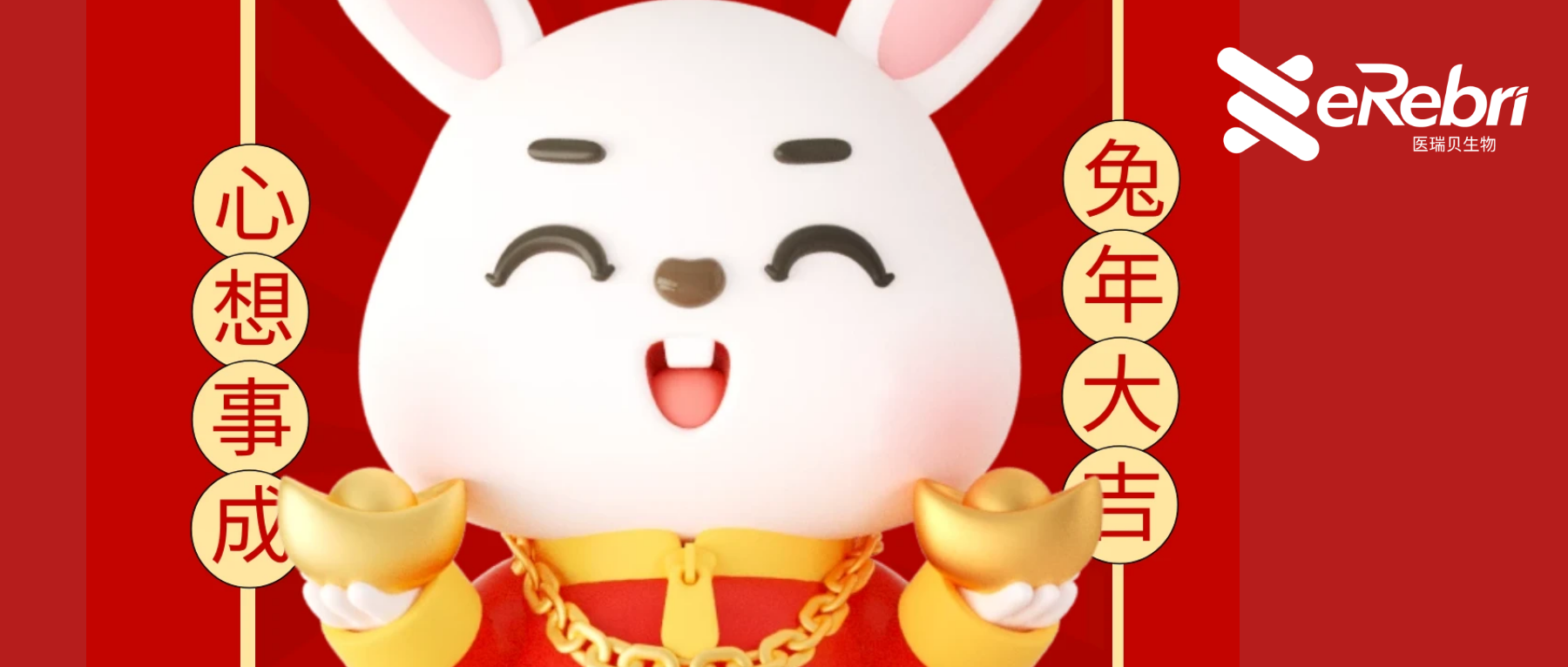 共赴新程｜醫(yī)瑞貝祝大家新年快樂(lè)！2023 宏“兔”大展